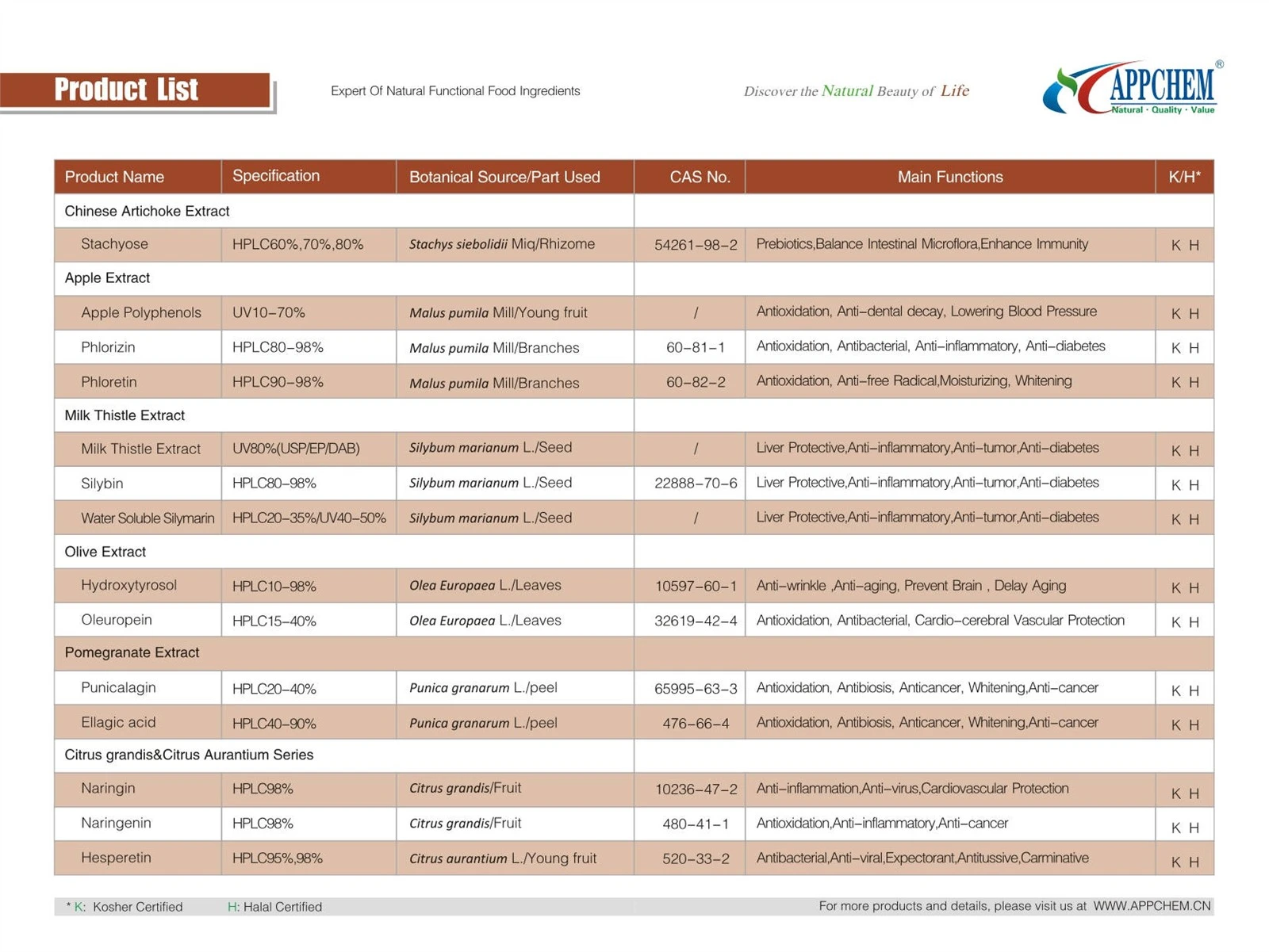 APPCHEM 2020-_pages-to-jpg-0009