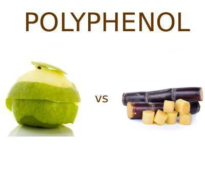 Jablečné polyfenoly vs polyfenoly z cukrové třtiny: Které lépe slouží funkční...