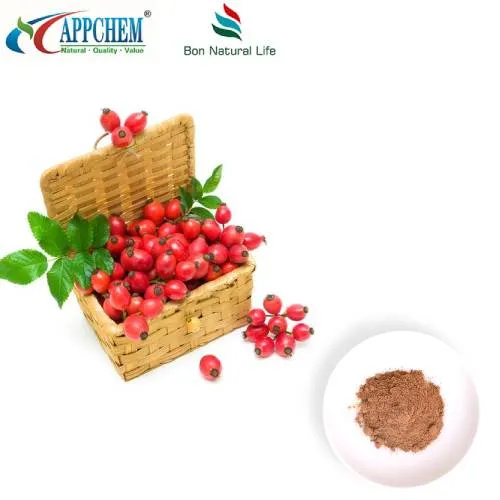 Šípkový extrakt v prášku