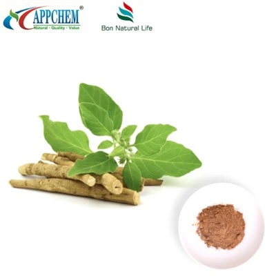 Extrakční prášek Ashwagandha (withanolides) Výroba 30655-48-2