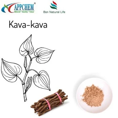 Kava extrakt