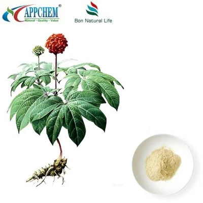 Extrakt z Notoginseng Radix Et Rhizoma