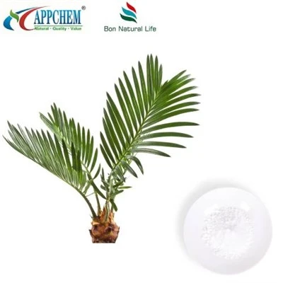 Extrakt ze Saw Palmetto v prášku